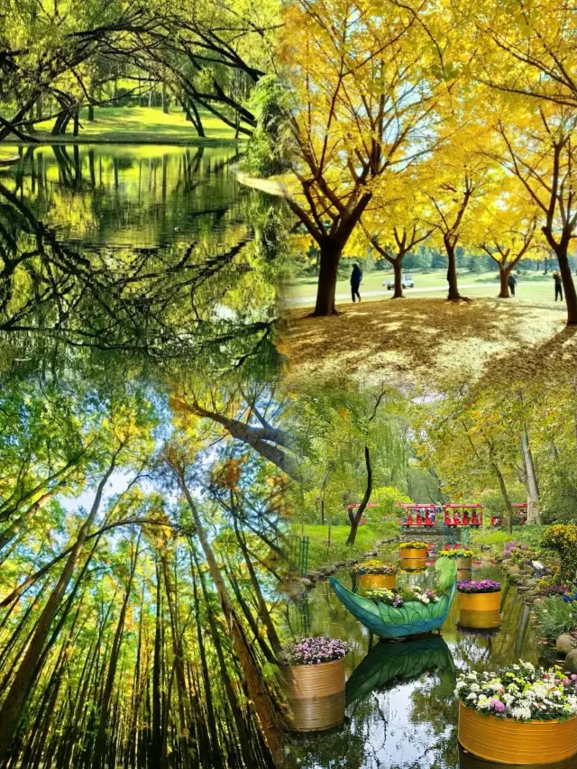 ที่สวนป่าคอมมิวนิสต์เยาวชน พบกับสี่ฤดูที่สวยที่สุด