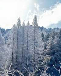 廬山冬日情書：牯嶺街的雪是童話濾鏡吧！