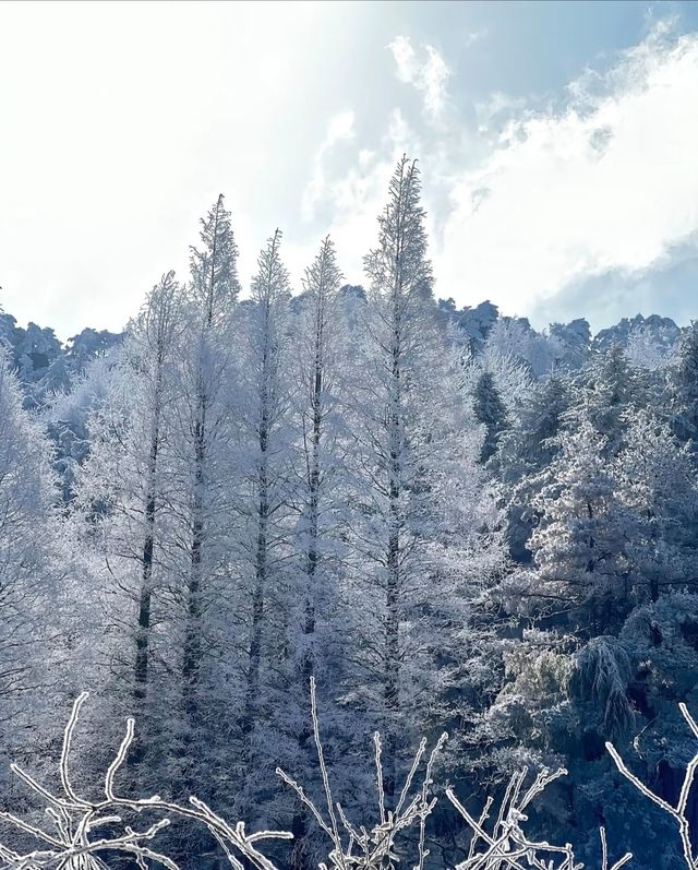 廬山冬日情書：牯嶺街的雪是童話濾鏡吧！