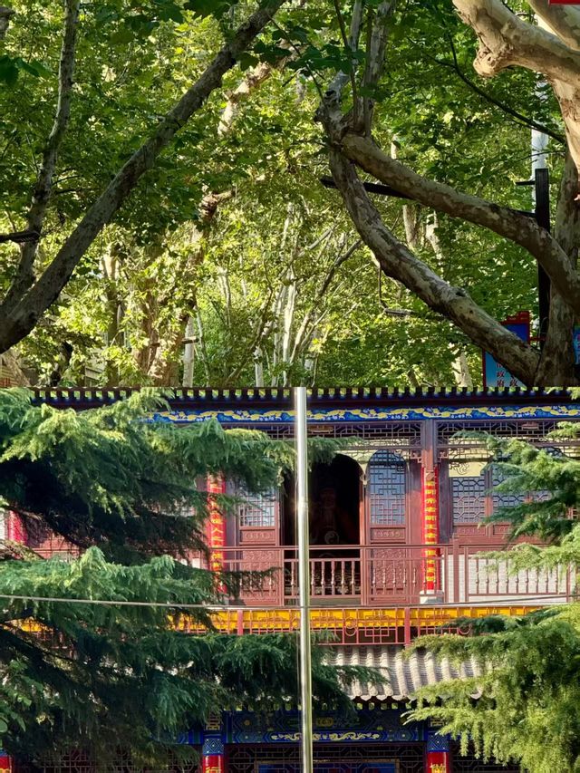 一個人坐火車漫遊渭南｜5.8元騎行解鎖非遺寶藏與市井煙火