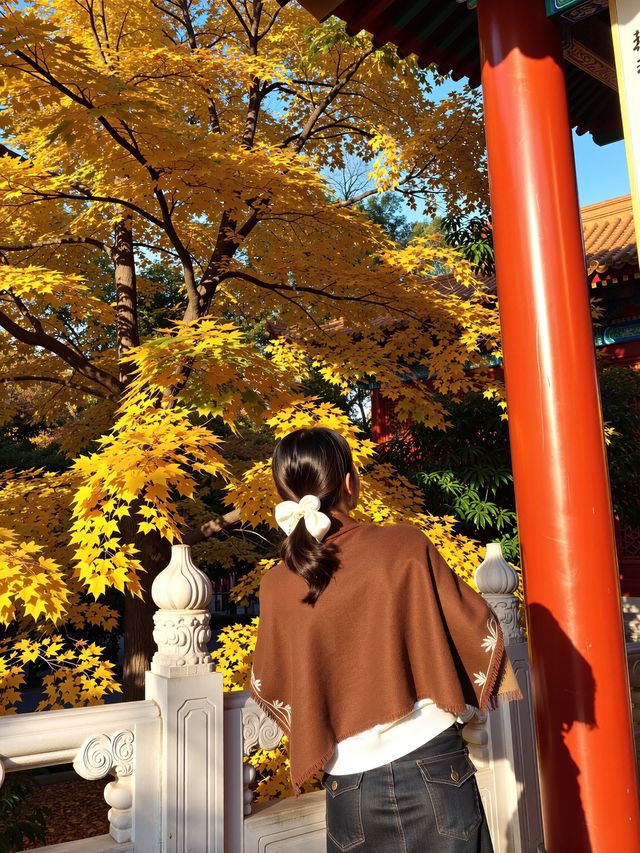 發現一個寶藏景點——喇叭溝門原始森林公園