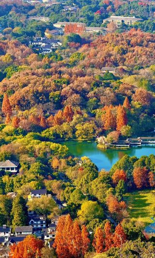 杭州の秋の最高峰攻略、9つの神聖スポットがもう隠せない！