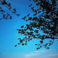 剛從楠溪江歸來，入住嘅甌北東方巨龍酒店畀咗我哋今次旅程一個完美句號，急不及待想將呢份美好分享畀大家！