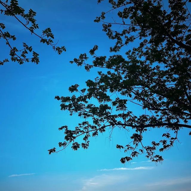 剛從楠溪江歸來，入住嘅甌北東方巨龍酒店畀咗我哋今次旅程一個完美句號，急不及待想將呢份美好分享畀大家！