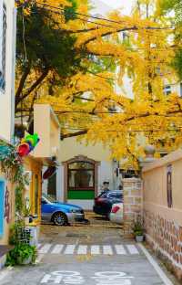 落葉、靜謐與時光感