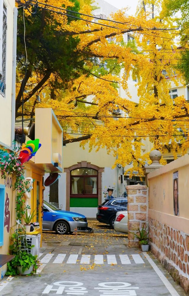 落葉、靜謐與時光感