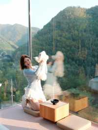 週末自駕莫干山帶毛孩子一起撒歡