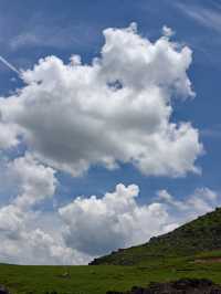 阿西里西大草原：把風揉成浪，把浪漫種滿坡