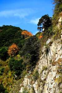 這裡的秋色不等人