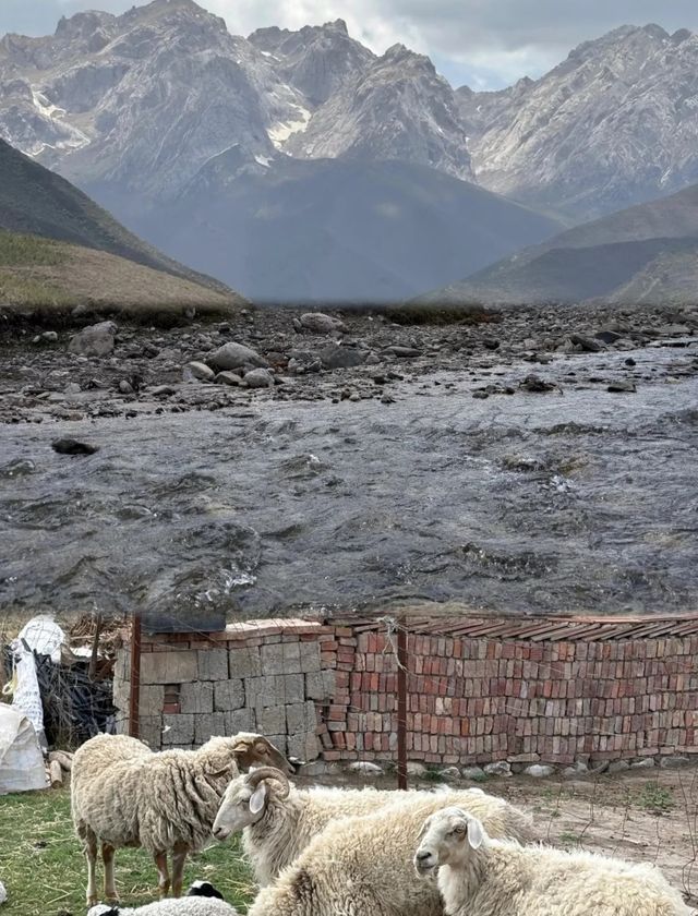 阿尼嘎卓·馬牙雪山:藏地聖境的冰雪傳奇 阿尼嘎卓·馬牙雪山:藏地聖境的冰雪傳奇