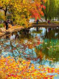 南京莫愁湖賞秋攻略｜一年一度做「飽和度戰士」的時間到啦！