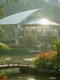 武漢植物園親子一日遊莫奈油畫般的遛娃地