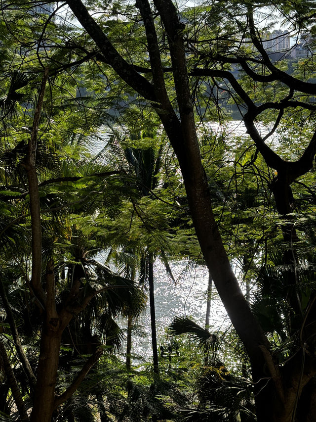 雨林野奢酒店指南 雨林野奢酒店指南