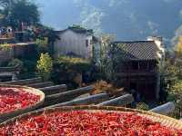 婺源篁嶺曬秋絕絕子手機拍到斷電哭著求饒