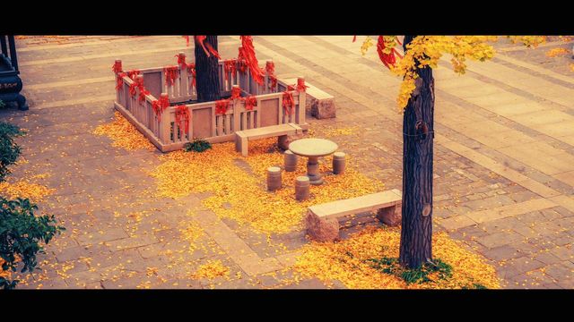 南京最禪意銀杏地毗盧寺私藏機位攻略