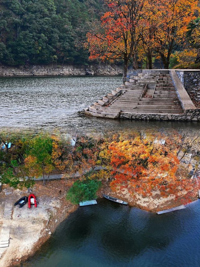 一開車門美到失語衢州這個秋日秘境原地封神