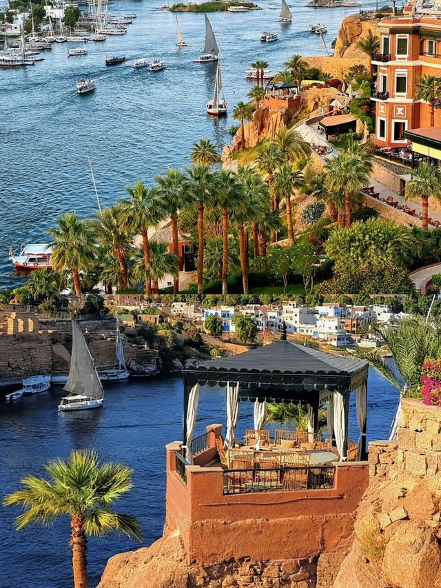 埃及帶娃天花板玩法！7天解鎖金字塔+紅海躺平爽翻天