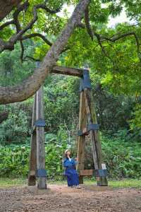 廣州citywalk覓一片科幻末日感暮光森林