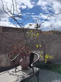 麗江寶藏民宿！推窗日照金山直接封神