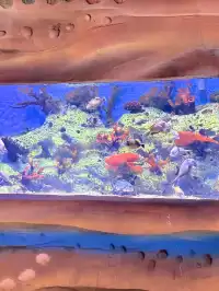 目測會成為泉州下一個No.1