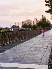 長沙免費遛娃地湘江江灘公園太香了