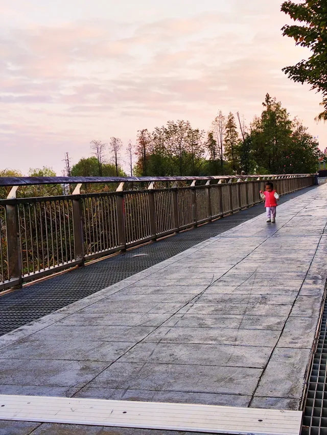 長沙免費遛娃地湘江江灘公園太香了 長沙免費遛娃地湘江江灘公園太香了
