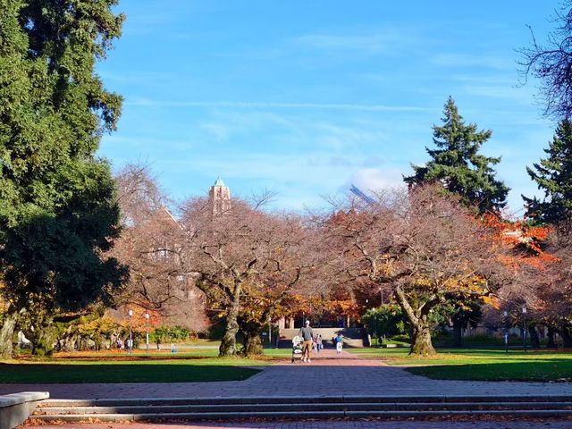 華盛頓大學絕美金秋