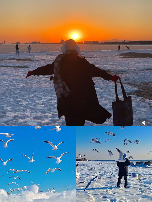 在秦皇島看到橘子味凍海了!日落的浪漫 在秦皇島看到橘子味凍海了!日落的浪漫