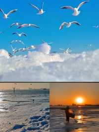 在秦皇島看到橘子味凍海了!日落的浪漫