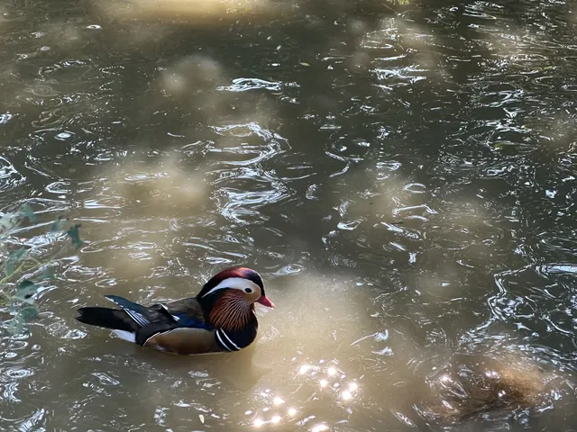 杭州灣濕地公園——承包我對秋冬的所有浪漫 杭州灣濕地公園——承包我對秋冬的所有浪漫
