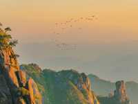 三清山血淚省力攻略｜攬五嶽之秀，藏絕景於此