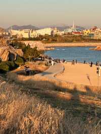 冬日青島的海有多治癒海風帶著故事吹向你~