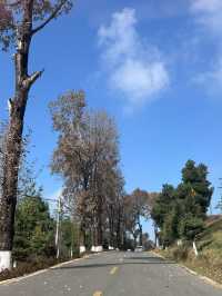 在雲與城的褶皺裡,撞見十萬人間煙火