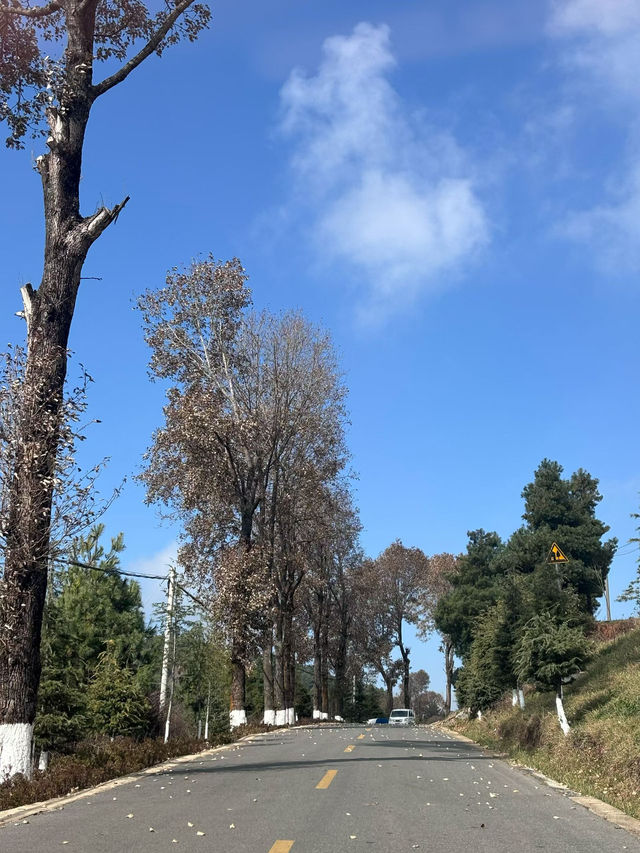 在雲與城的褶皺裡,撞見十萬人間煙火 在雲與城的褶皺裡,撞見十萬人間煙火