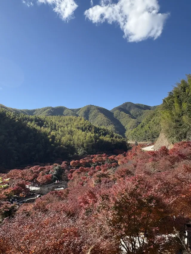 不是京都!實況無調色 不是京都!實況無調色