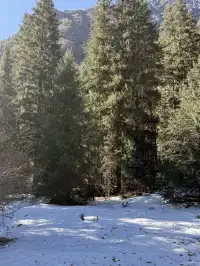 長坪溝美哭！雪山草甸徒步真的太治癒