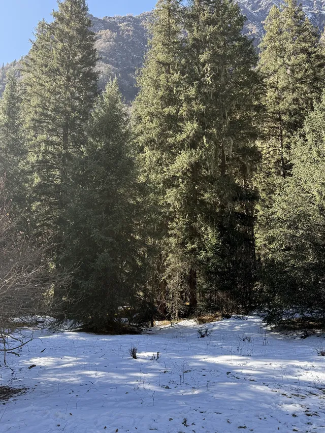 長坪溝美哭！雪山草甸徒步真的太治癒