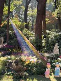 12月共青楓葉紅了銀杏黃了(附出片打卡點)