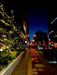 札幌｜白色燈光節