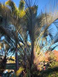 普洱這個小眾秘境，藏著最治癒的冬日暖陽