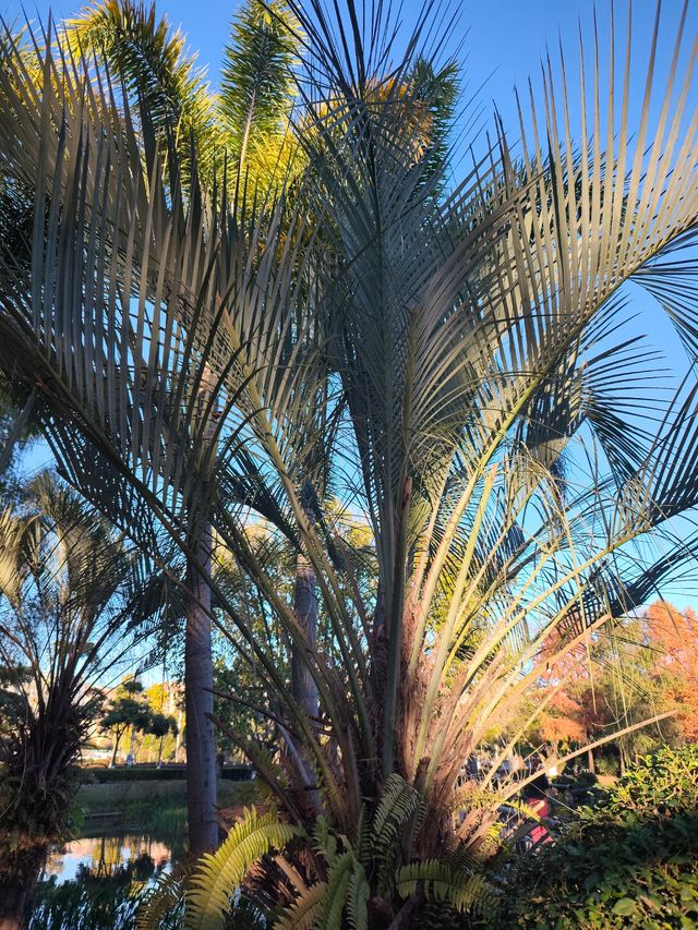 普洱這個小眾秘境，藏著最治癒的冬日暖陽