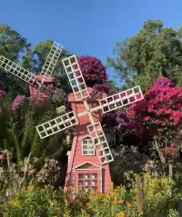 第43站｜深圳週末好去處•蓮花山公園