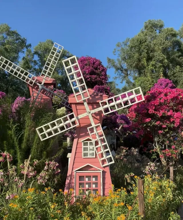 第43站｜深圳週末好去處•蓮花山公園