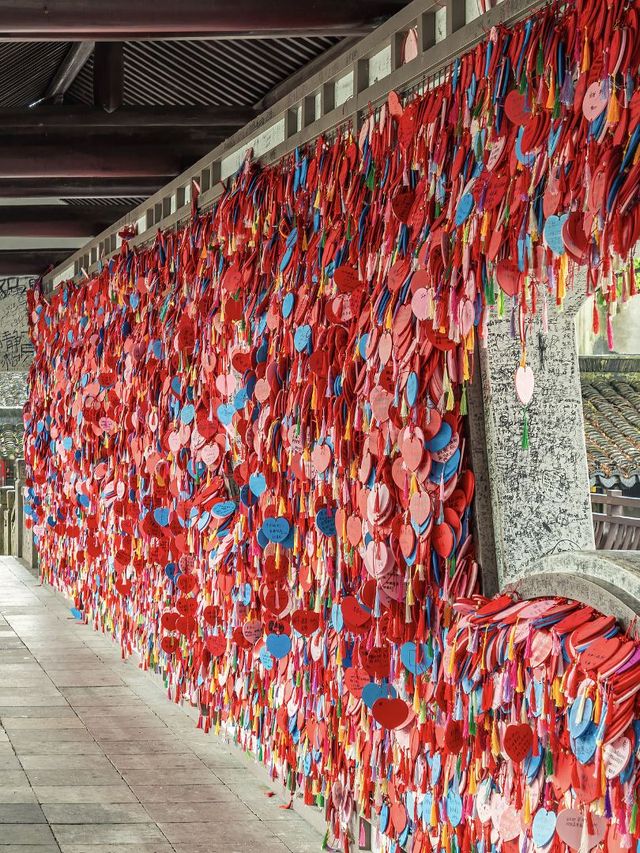 冬天必衝嘉興-杭州超全遊玩指南 冬天必衝嘉興-杭州超全遊玩指南