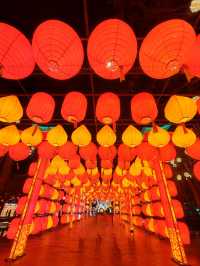 昆明大觀公園新春燈會(八)