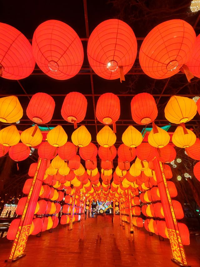 昆明大觀公園新春燈會(八) 昆明大觀公園新春燈會(八)