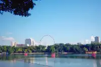 一座城一卷膠|南寧