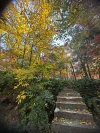 中山植物園就是靜奢風的天花板，閉眼入不虧！