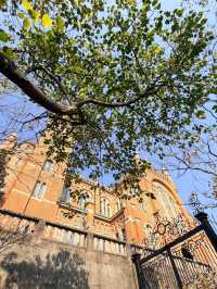 上海佘山東西連穿徒步攻略：人文與自然的親子輕徒路線