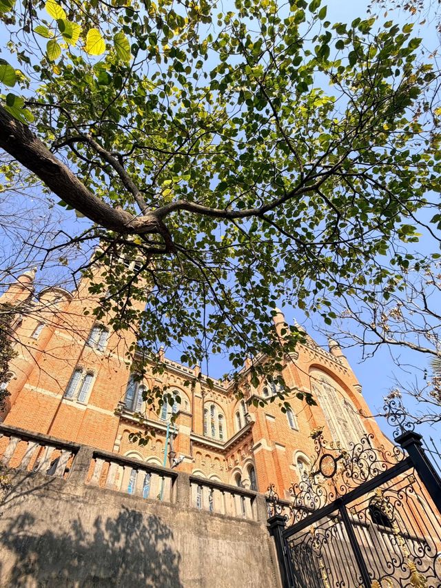 上海佘山東西連穿徒步攻略：人文與自然的親子輕徒路線